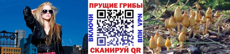 Псилоцибиновые грибы мицелий  MEGA   Озёры  цены наркотик 