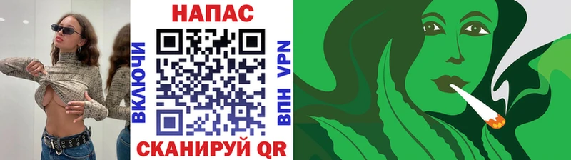 Каннабис OG Kush  Озёры 